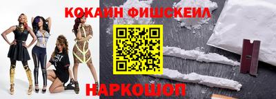 тгк Кингисепп