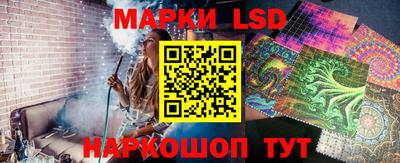 тгк Кингисепп