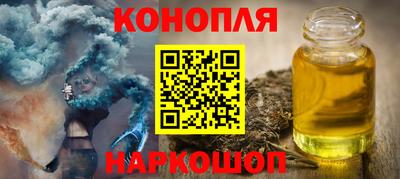 тгк Кингисепп