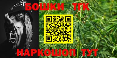 тгк Кингисепп