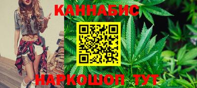 тгк Кингисепп