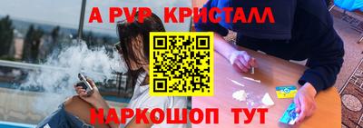 тгк Кингисепп