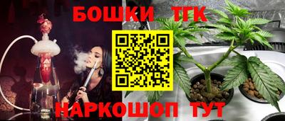 тгк Кингисепп