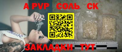 тгк Кингисепп