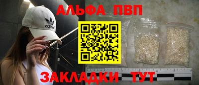 тгк Кингисепп