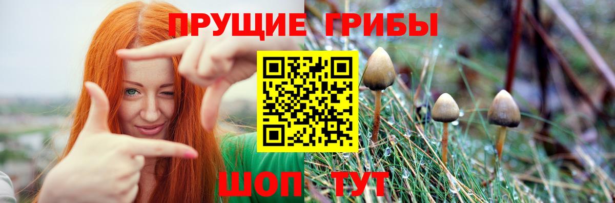 Псилоцибиновые грибы Cubensis Комсомольск-на-Амуре